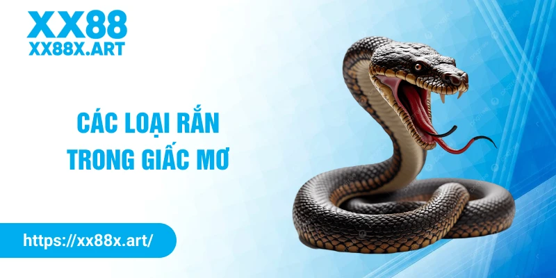 Các loại rắn trong giấc mơ
