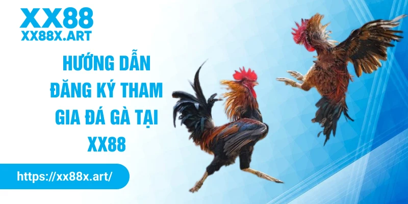 Hướng dẫn đăng ký tham gia đá gà tại XX88