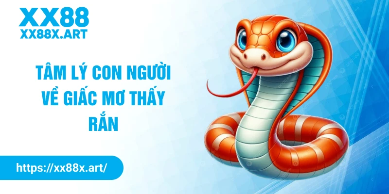 Tâm lý con người về giấc mơ thấy rắn
