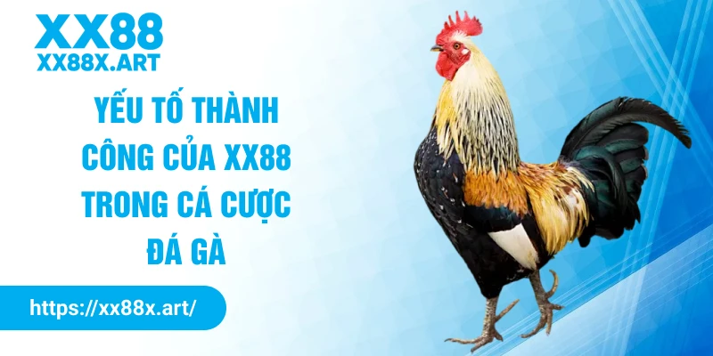 Yếu tố thành công của XX88 trong cá cược đá gà